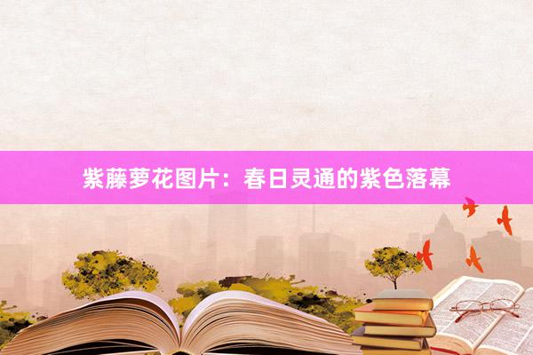紫藤萝花图片：春日灵通的紫色落幕
