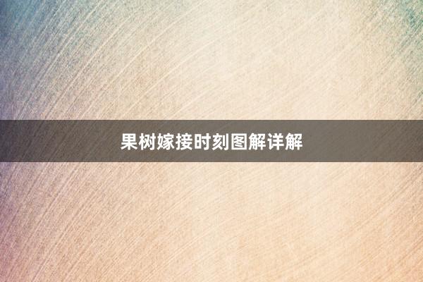 果树嫁接时刻图解详解